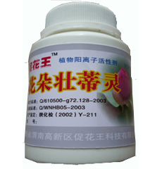 花朵壮蒂灵 