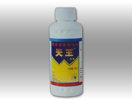 天王 