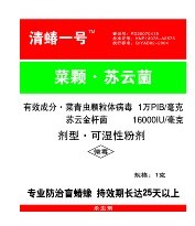 清蝽一号(盲椿30） 