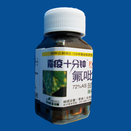 霜疫十分钟，霜霉病，疫病 