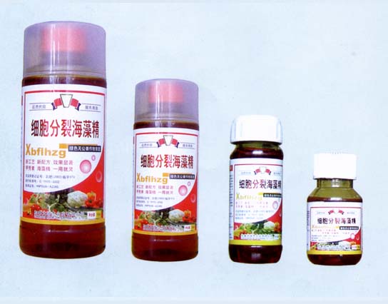 细胞分裂海藻精 