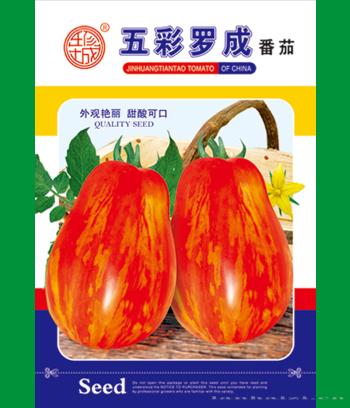 五彩罗成　