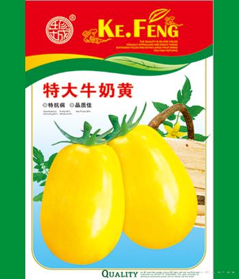 特大牛奶黄　