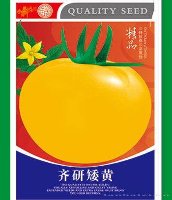 齐研矮黄　