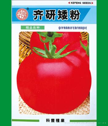 齐研矮粉　