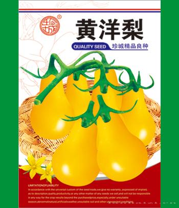 黄洋梨