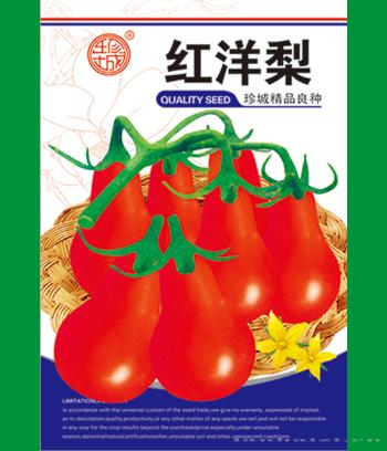 红洋梨　
