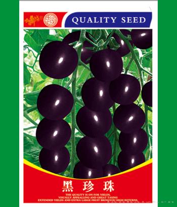 黑珍珠　