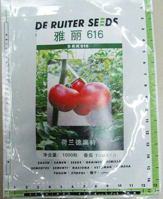 番茄种子——雅丽616