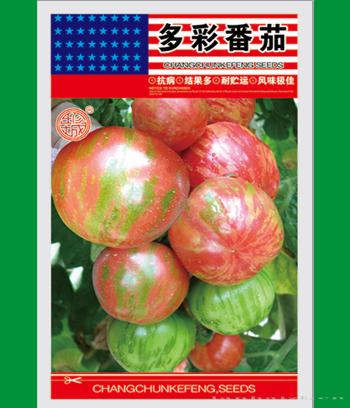 多彩番茄