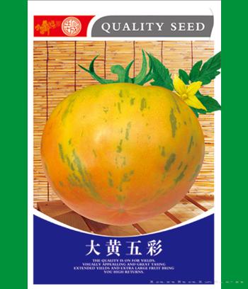 大黄五彩