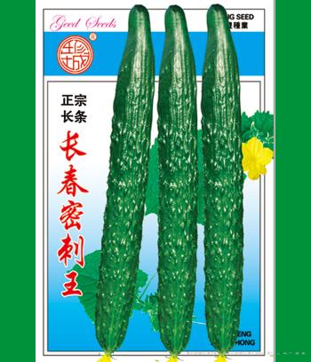 长春密刺王