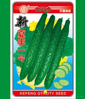 新夏丰一号