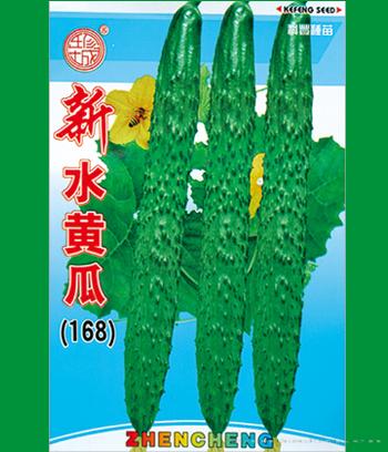 新水黄瓜