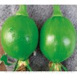 秀珍六号——菜用南瓜产品系列