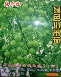 番茄种子----绿珍珠