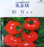 番茄种子——倍肯