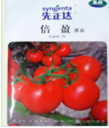 番茄种子——倍盈