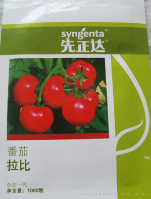 番茄种子——拉比
