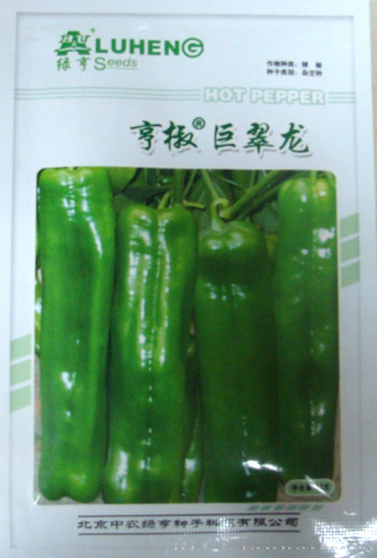辣椒种子——亨椒巨翠龙