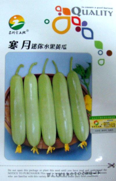 黄瓜种子——寒月