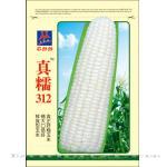 真糯312——玉米种子