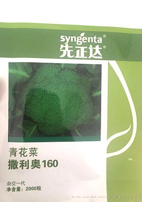 撒利奥160