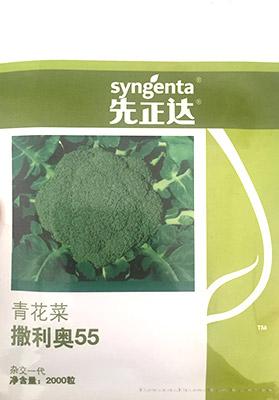 撒利奥55