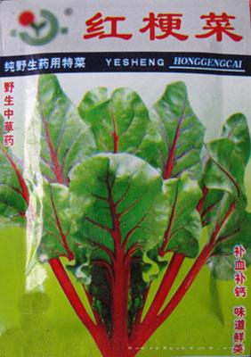 特菜种子——红梗菜
