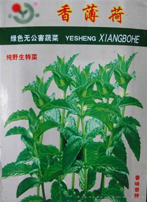 特菜种子——香薄荷