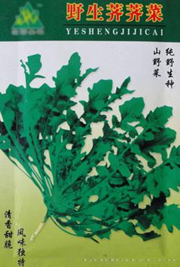 荠菜种子——野生荠菜