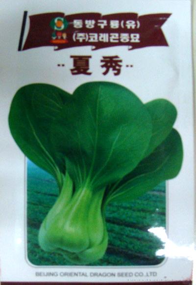 油菜种子——夏秀