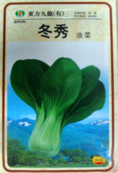 油菜种子——冬秀