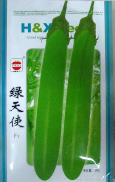 茄子种子——绿天使