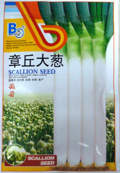 章丘大葱