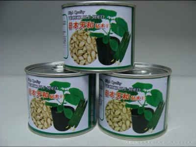 砧木种子——日本天和砧木