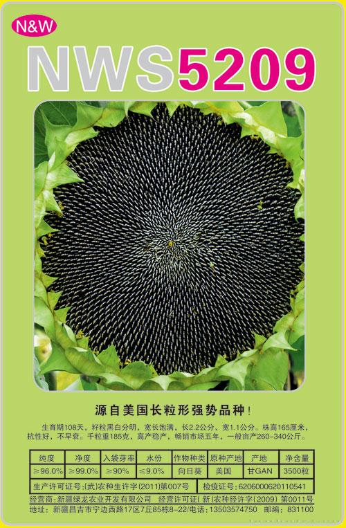 NWS5209——食葵种子