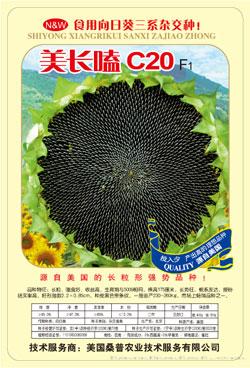 美长嗑c20——食葵种子