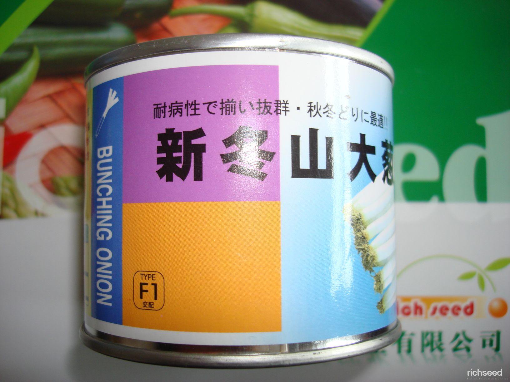 新冬山大葱F1