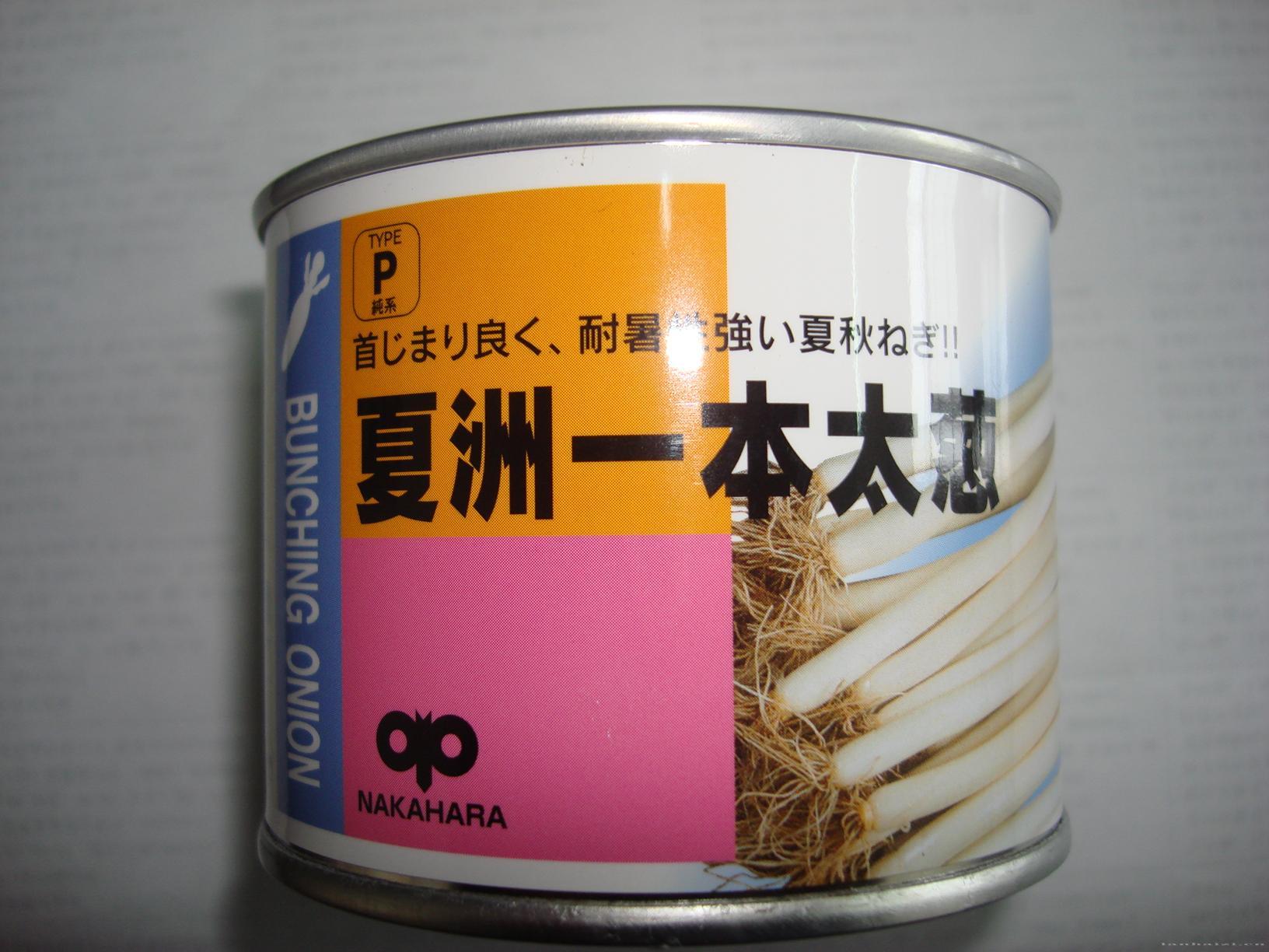夏洲一本太葱
