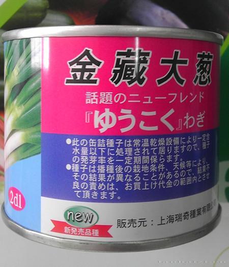 金藏