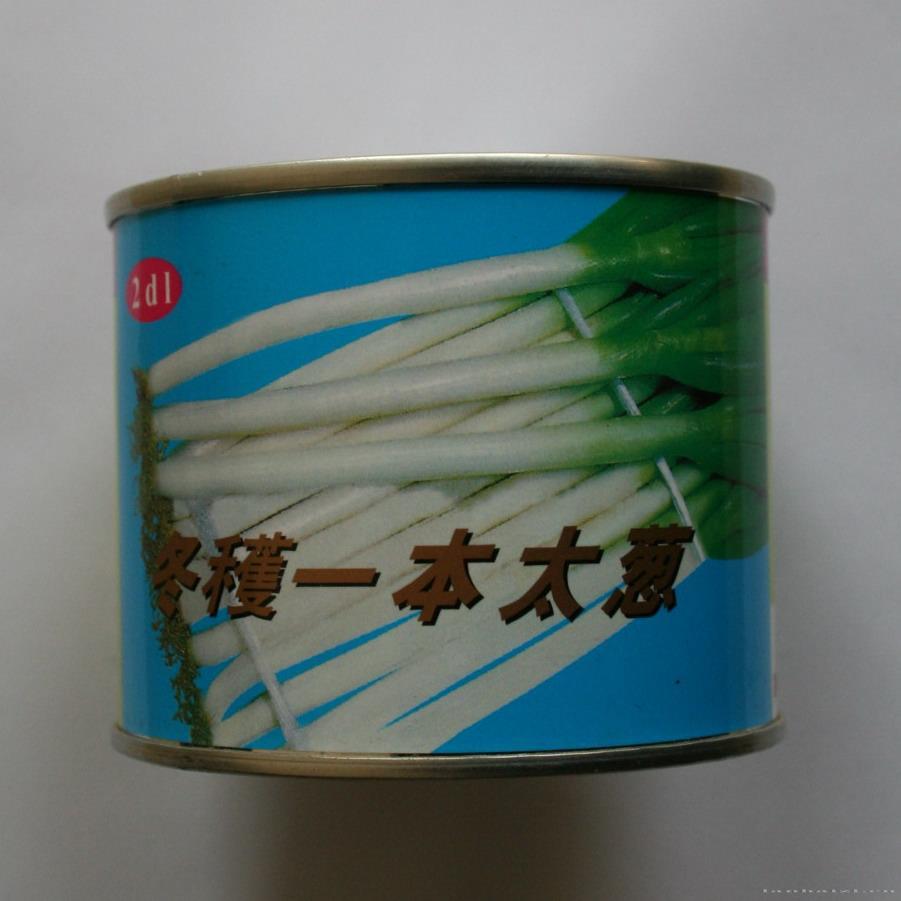 冬获一本太葱