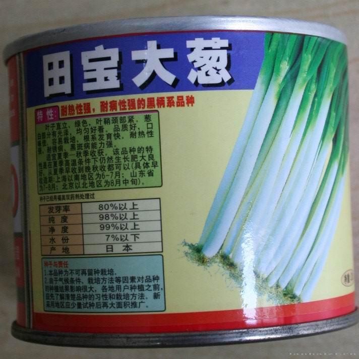 田宝大葱