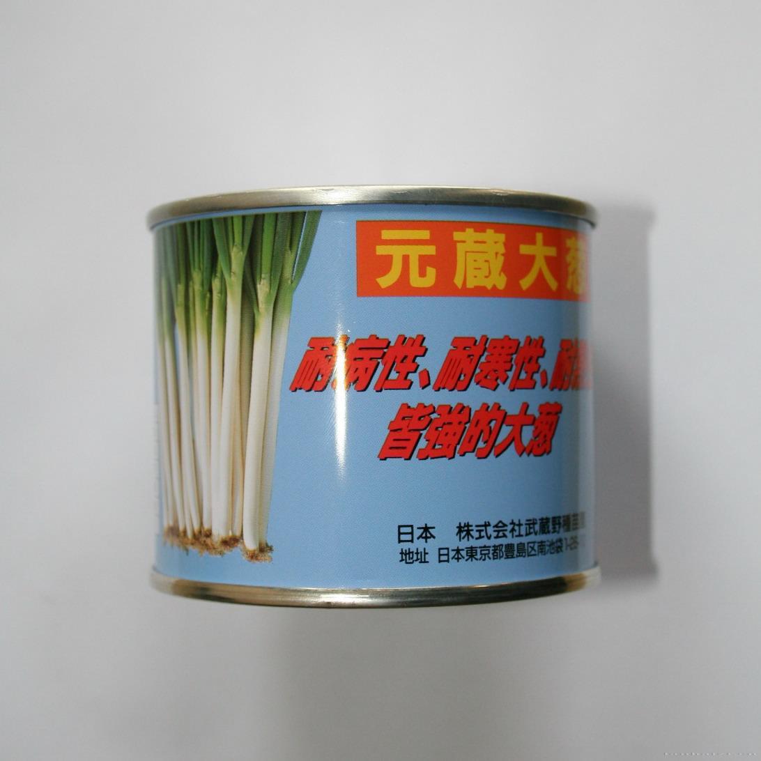 元藏大葱