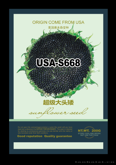 超级大头矮US-A668——油葵种子