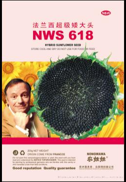 法兰西超级矮大头NWS618——油葵种子