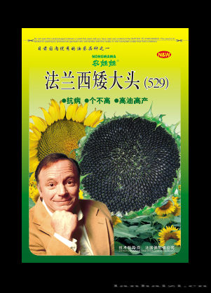 法兰西矮大头529——油葵种子