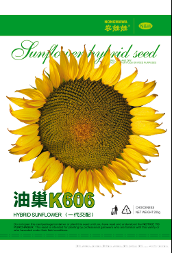 油巢K606——油葵种子