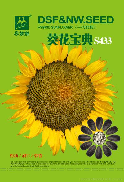 葵花宝典S433——油葵种子