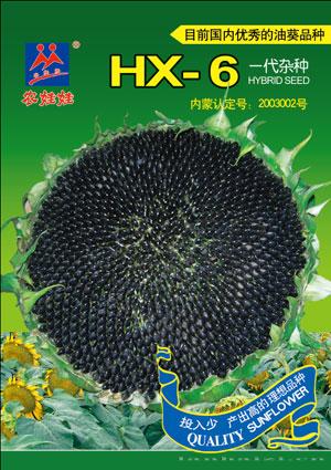 HX-6——油葵种子